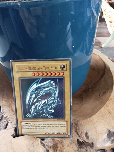 Carte dragon blanc au - yu, oh